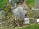 image of grave number 209461